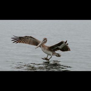 Meet your Posher, Katrina